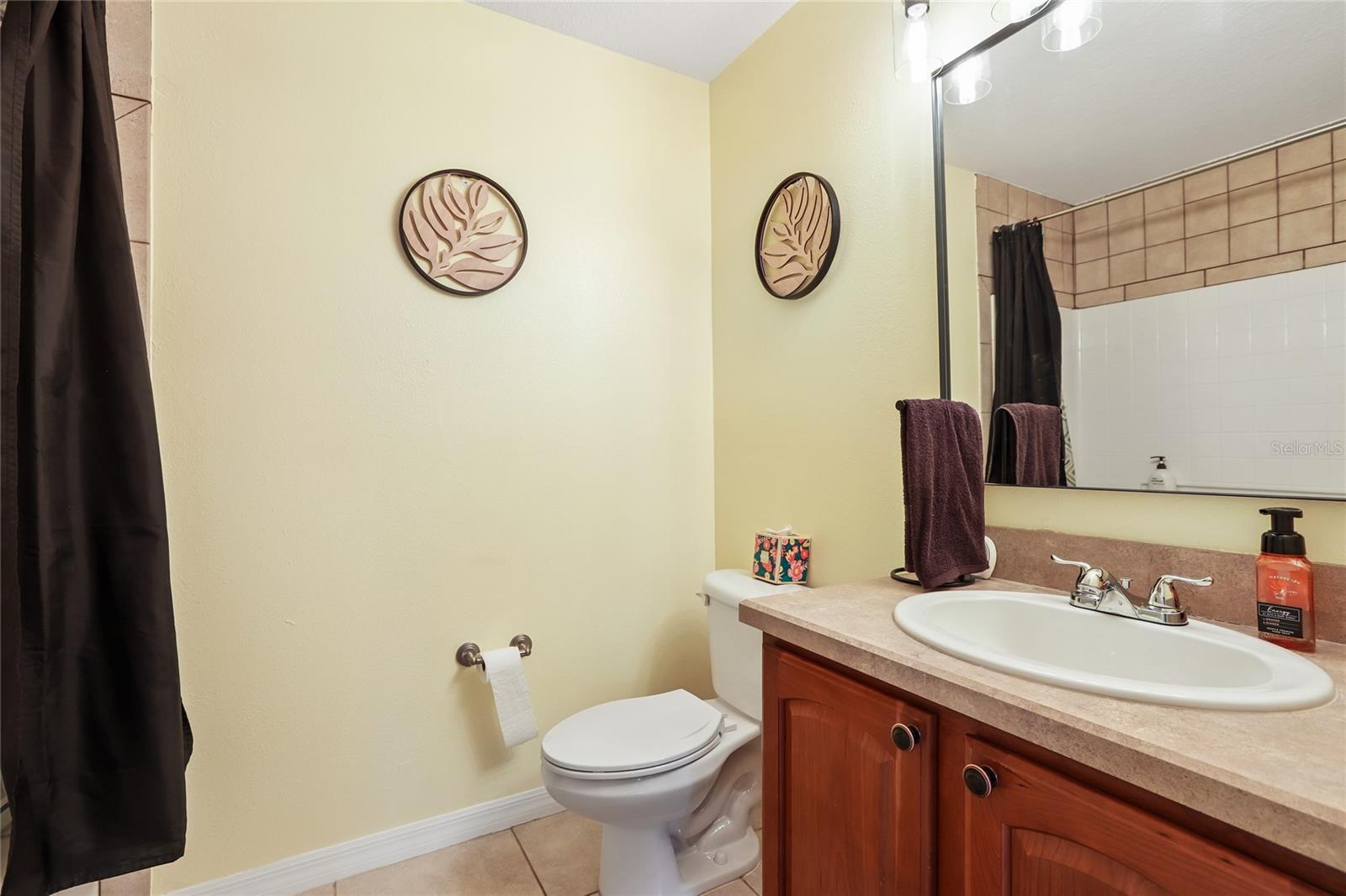 6736 BREEZY PALM DRIVE, Riverview, FL 33578