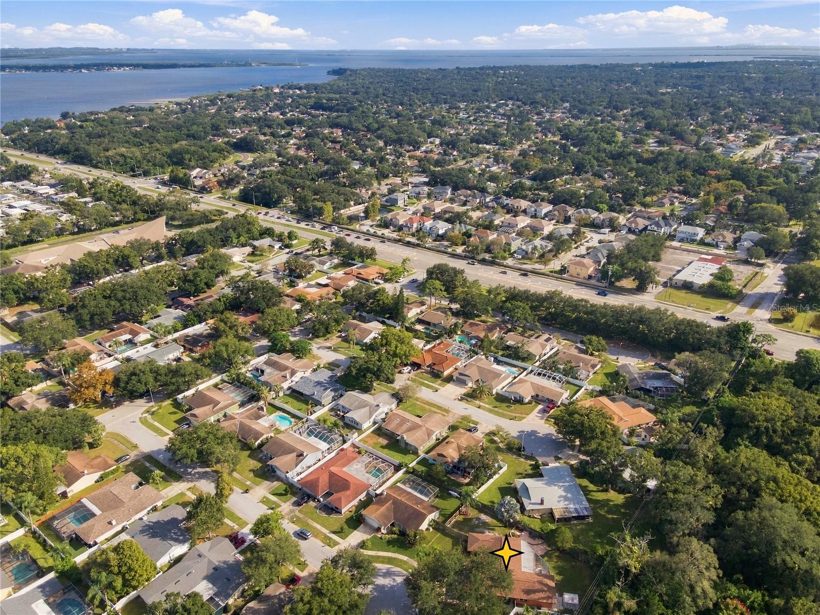 81. Aerial Views Show You Proximity to Tampa Bay, Clearwater, Dunedin.. All Very Short Rides!