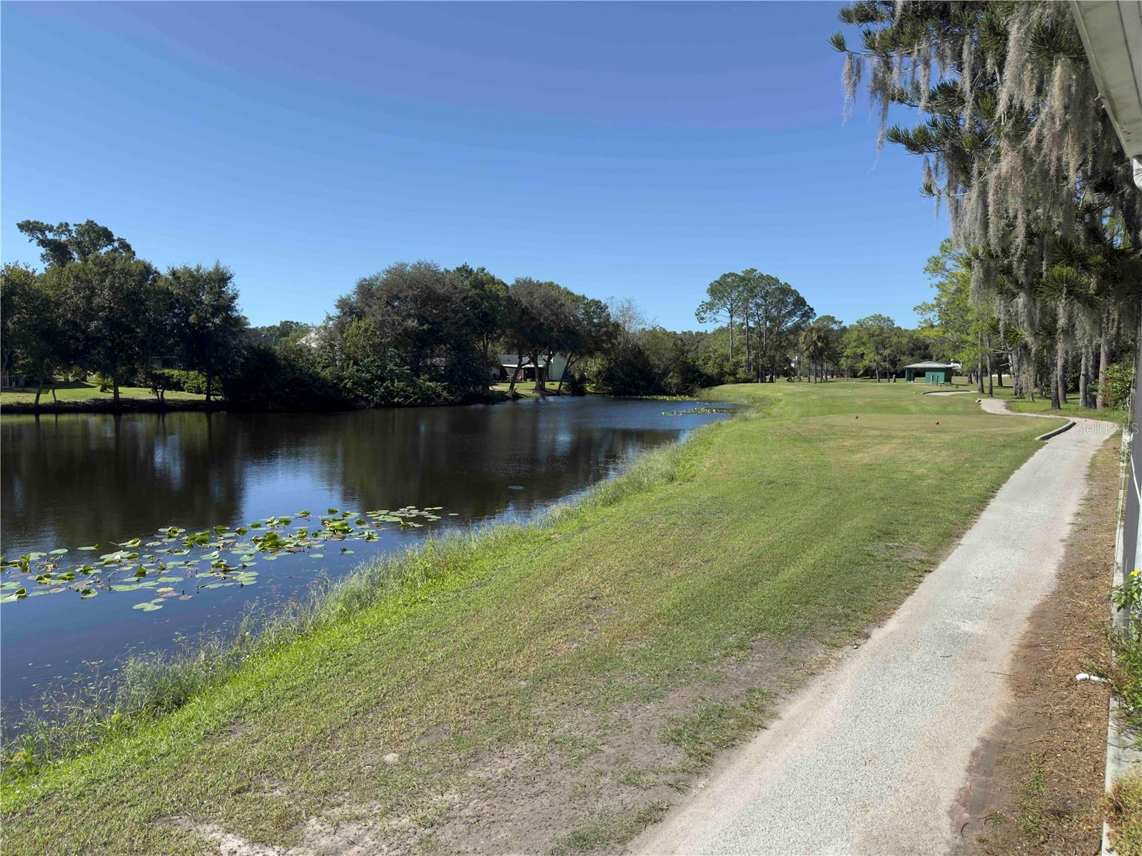 5143 NORTHDALE BOULEVARD, Tampa, FL 33624
