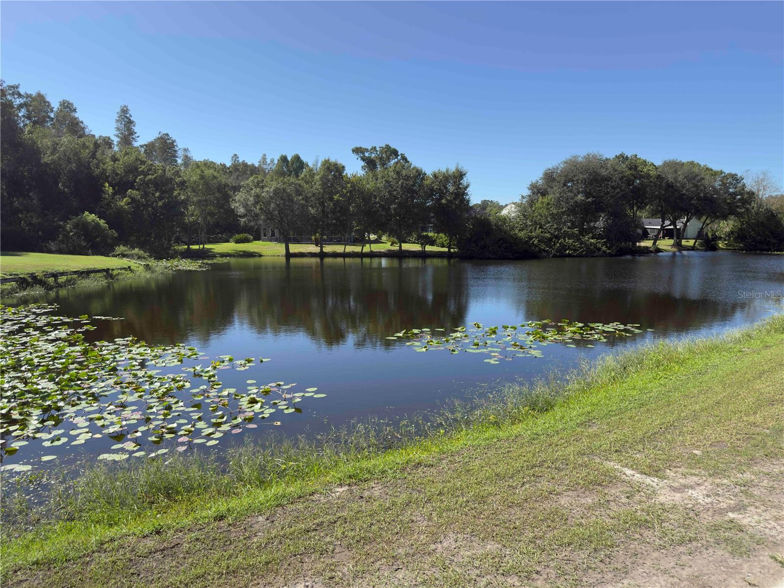 5143 NORTHDALE BOULEVARD, Tampa, FL 33624