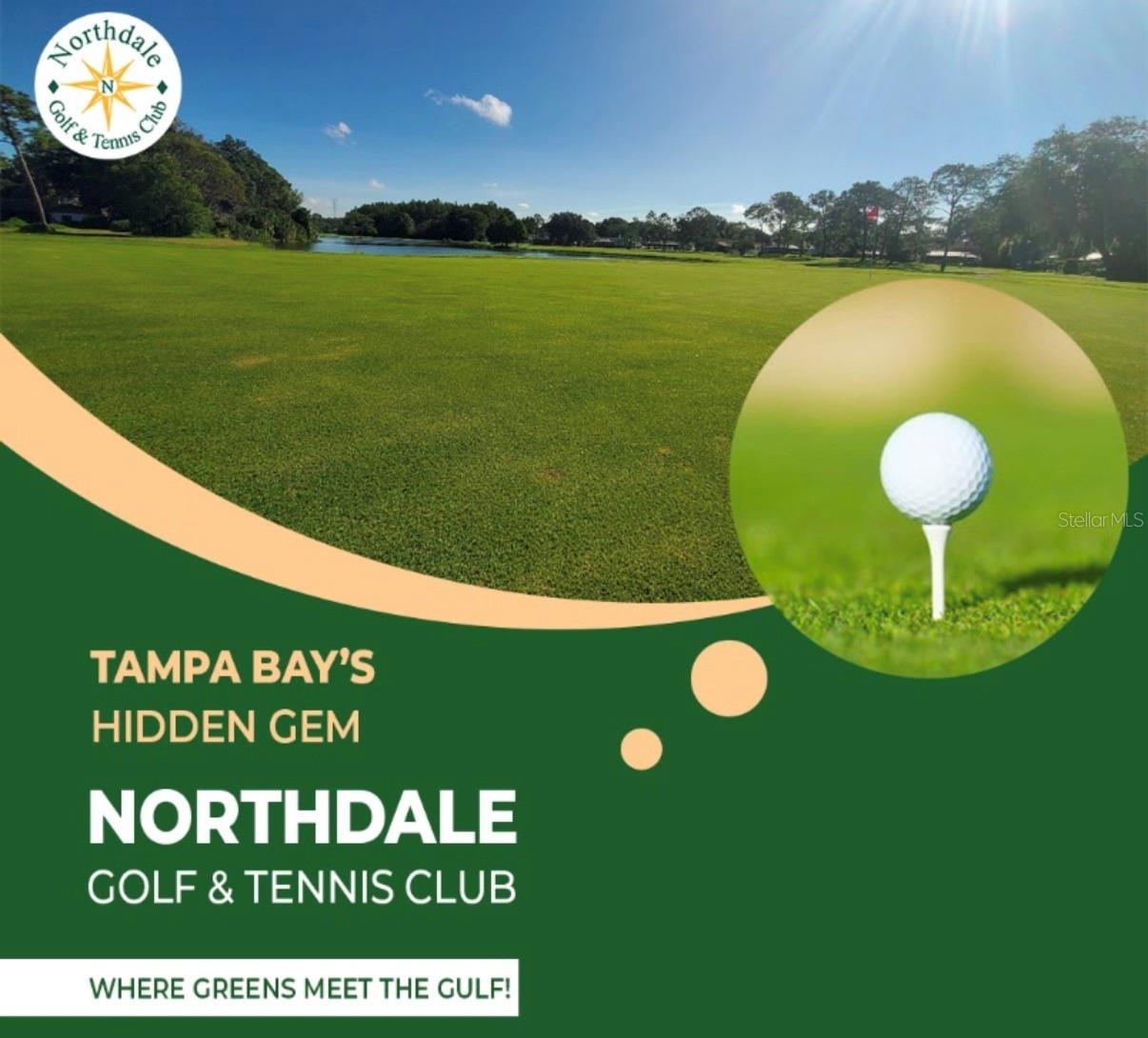 5143 NORTHDALE BOULEVARD, Tampa, FL 33624