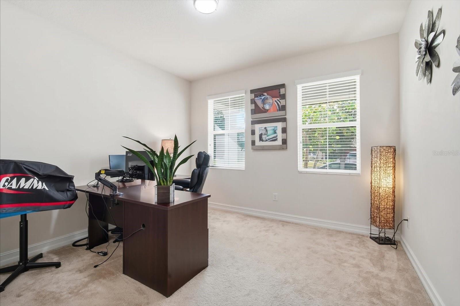Downstairs Office off of front entrance/foyer