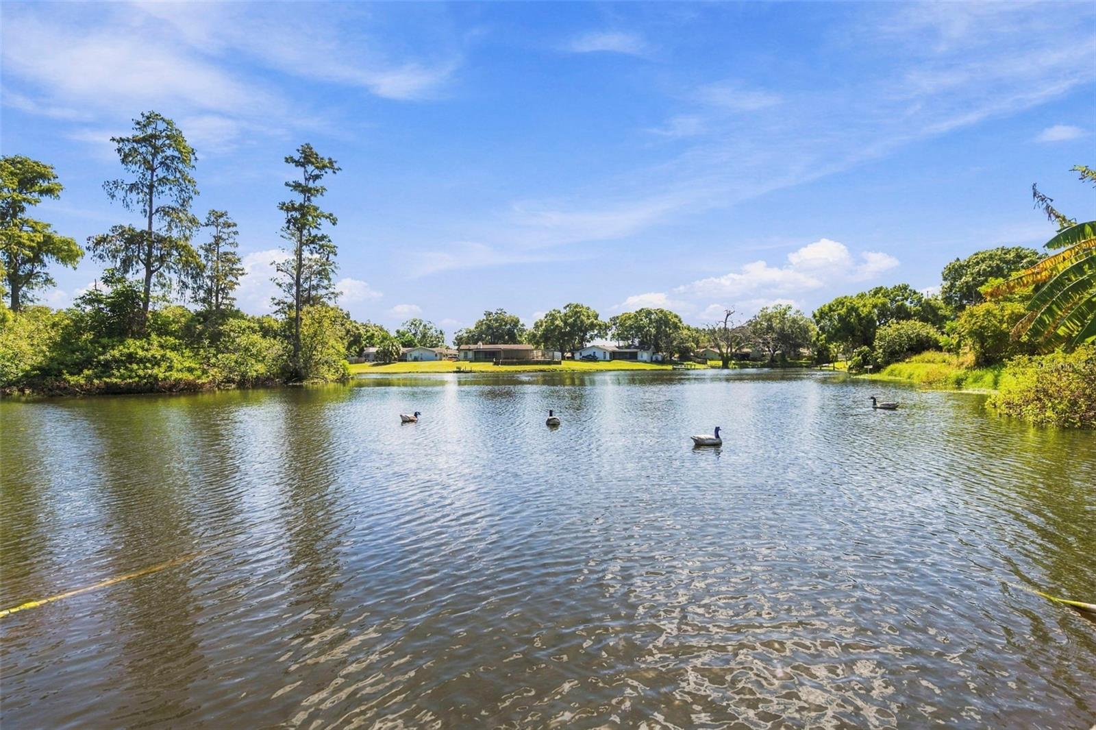 1279 S DISSTON AVENUE, Tarpon Springs, FL 34689