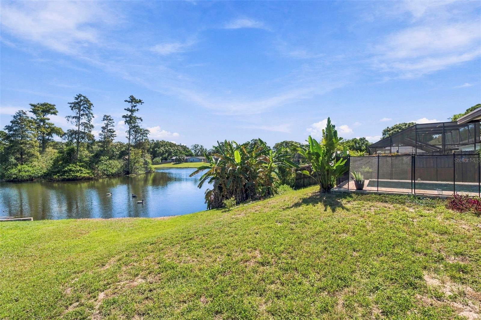 1279 S DISSTON AVENUE, Tarpon Springs, FL 34689