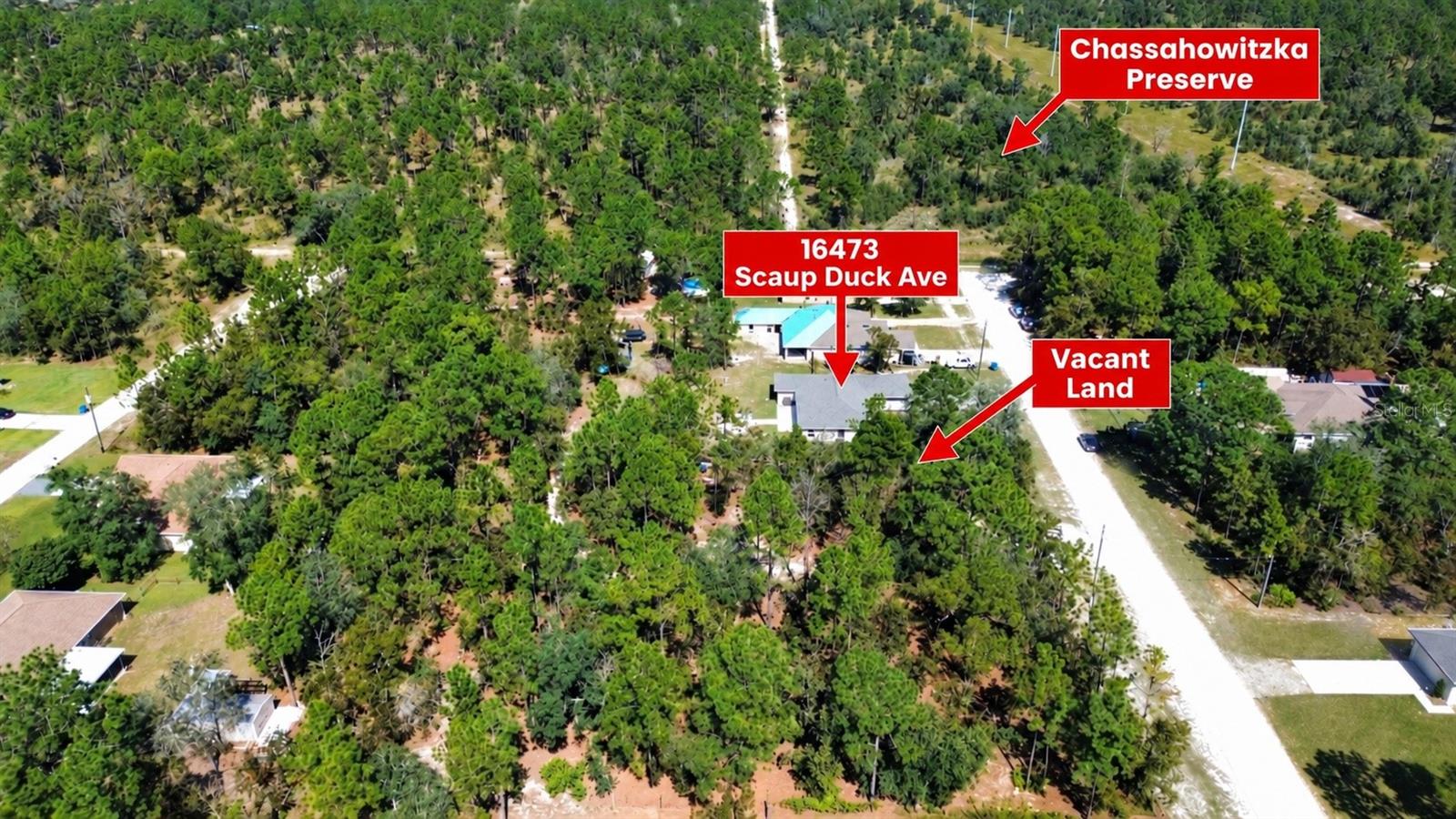 16473 SCAUP DUCK AVENUE, Brooksville, FL 34614