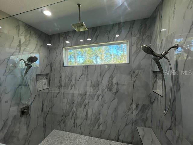 Master Bathroom Shower