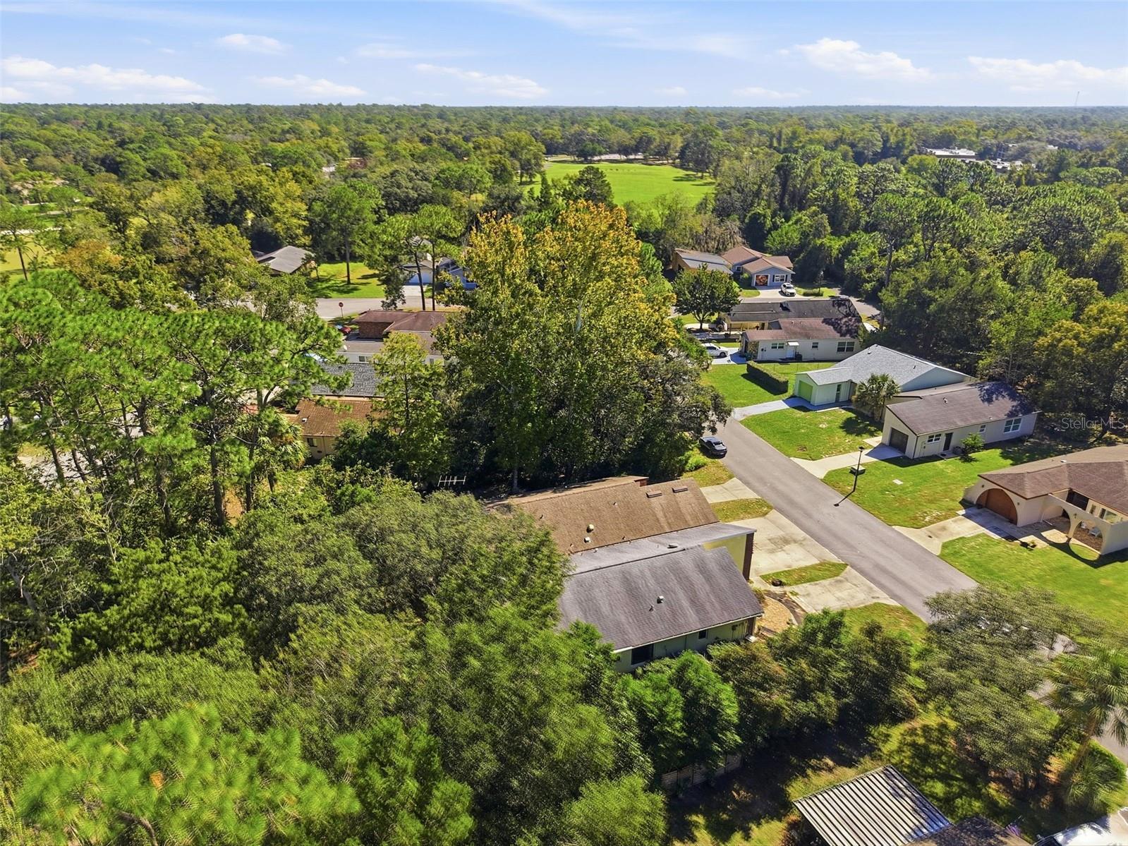 10 CHINABERRY CIRCLE, Homosassa, FL 34446
