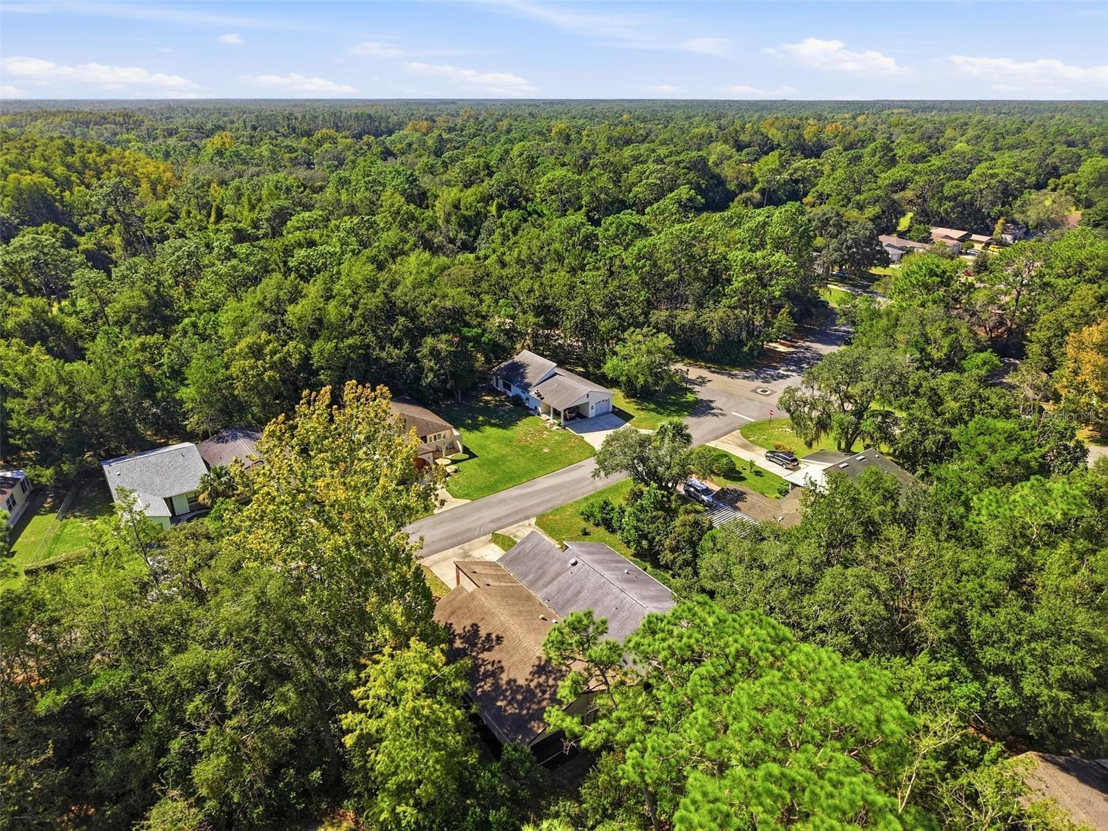 10 CHINABERRY CIRCLE, Homosassa, FL 34446