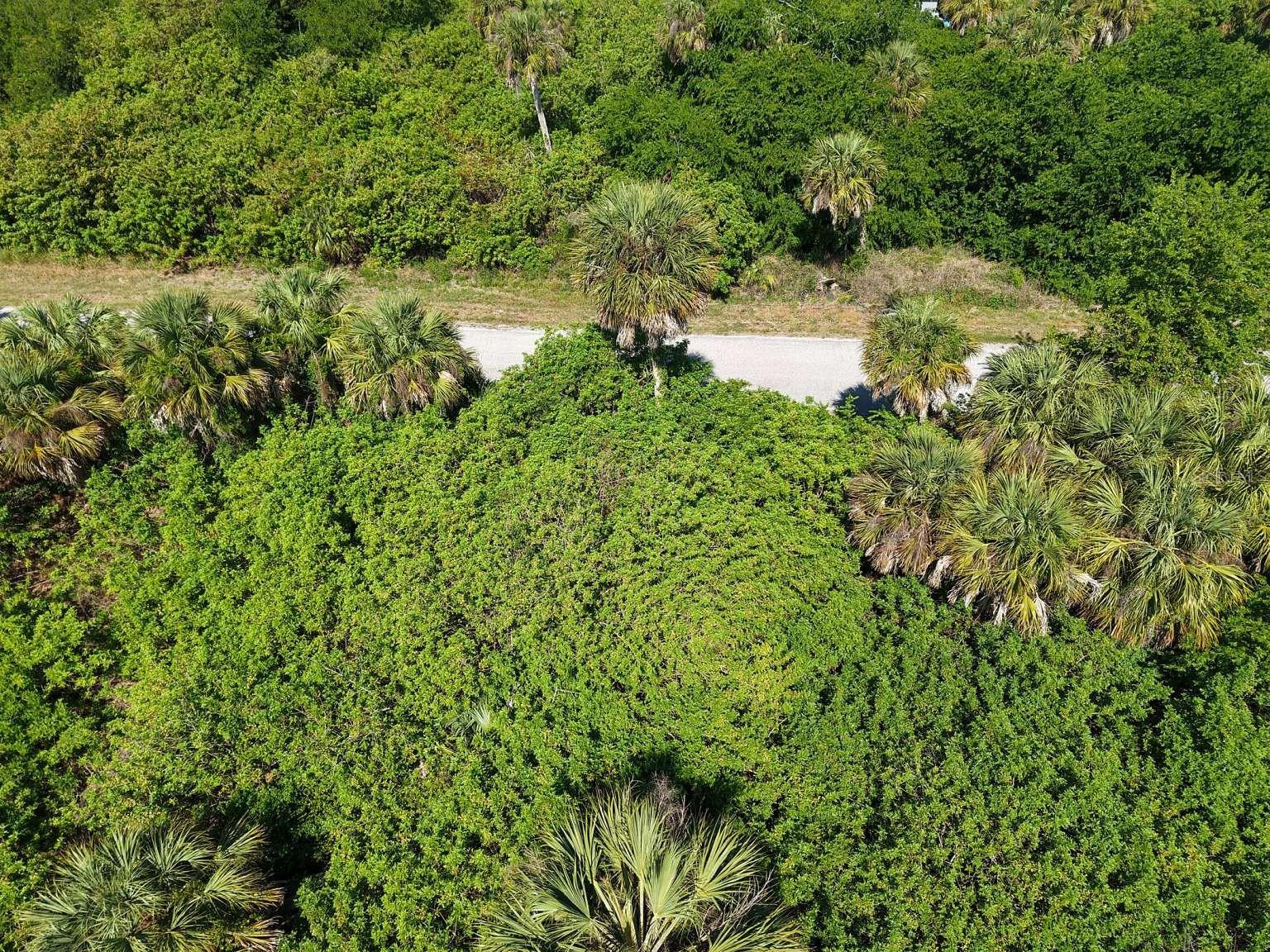 Aerial view of the lot and road.