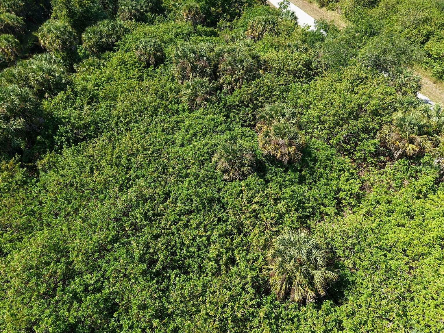 Aerial view of the lot vegetation.