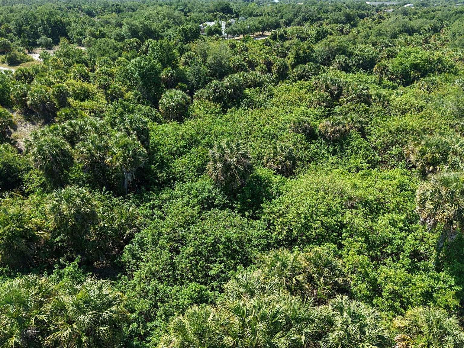 Aerial view of the lot and surrounding area.