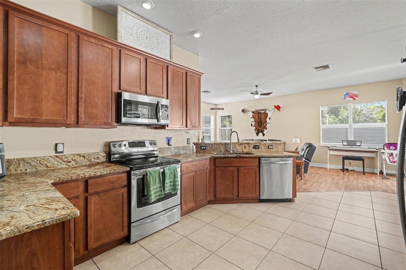 4481 BIRCHFIELD LOOP, Spring Hill, FL 34609