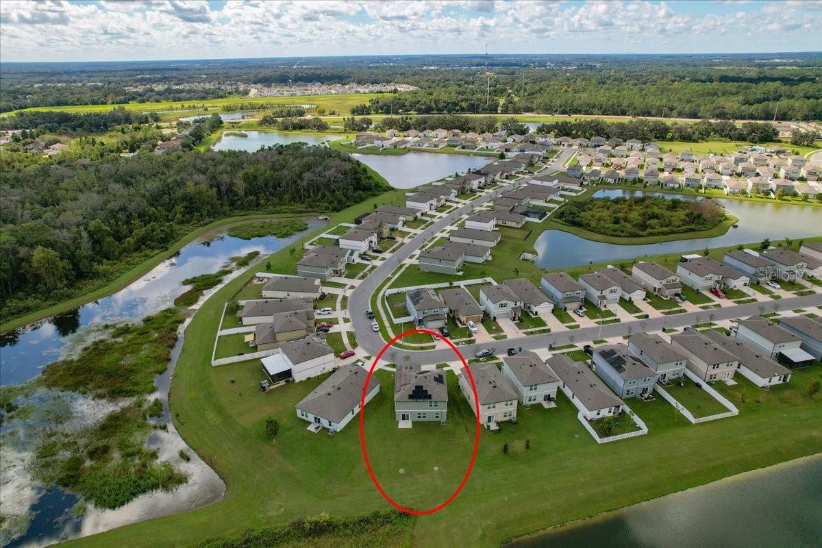 Zephyrhills, FL 33541