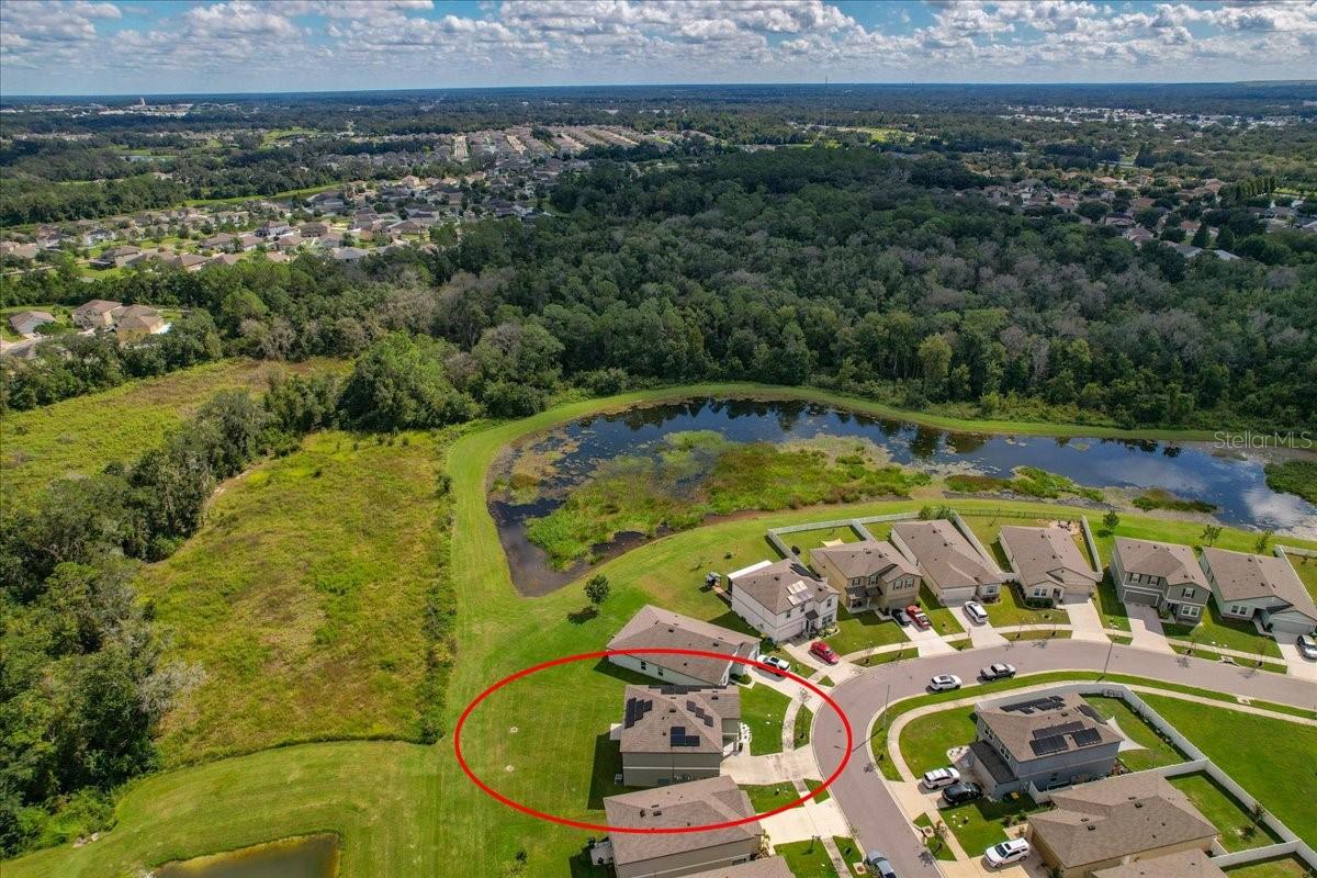 Zephyrhills, FL 33541