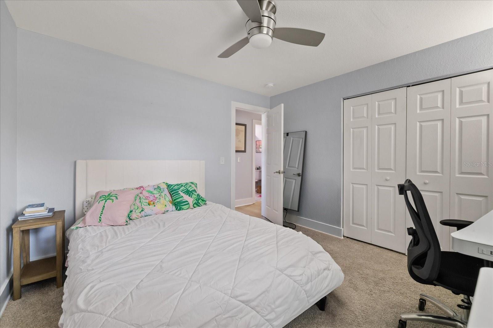2905 W PAXTON AVENUE, Tampa, FL 33611