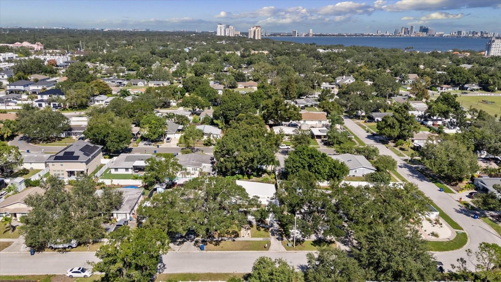 2905 W PAXTON AVENUE, Tampa, FL 33611