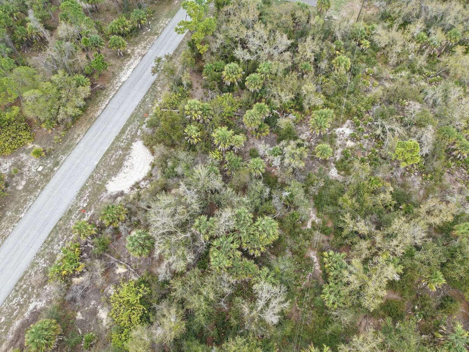 Aerial view of the lot and surrounding area.