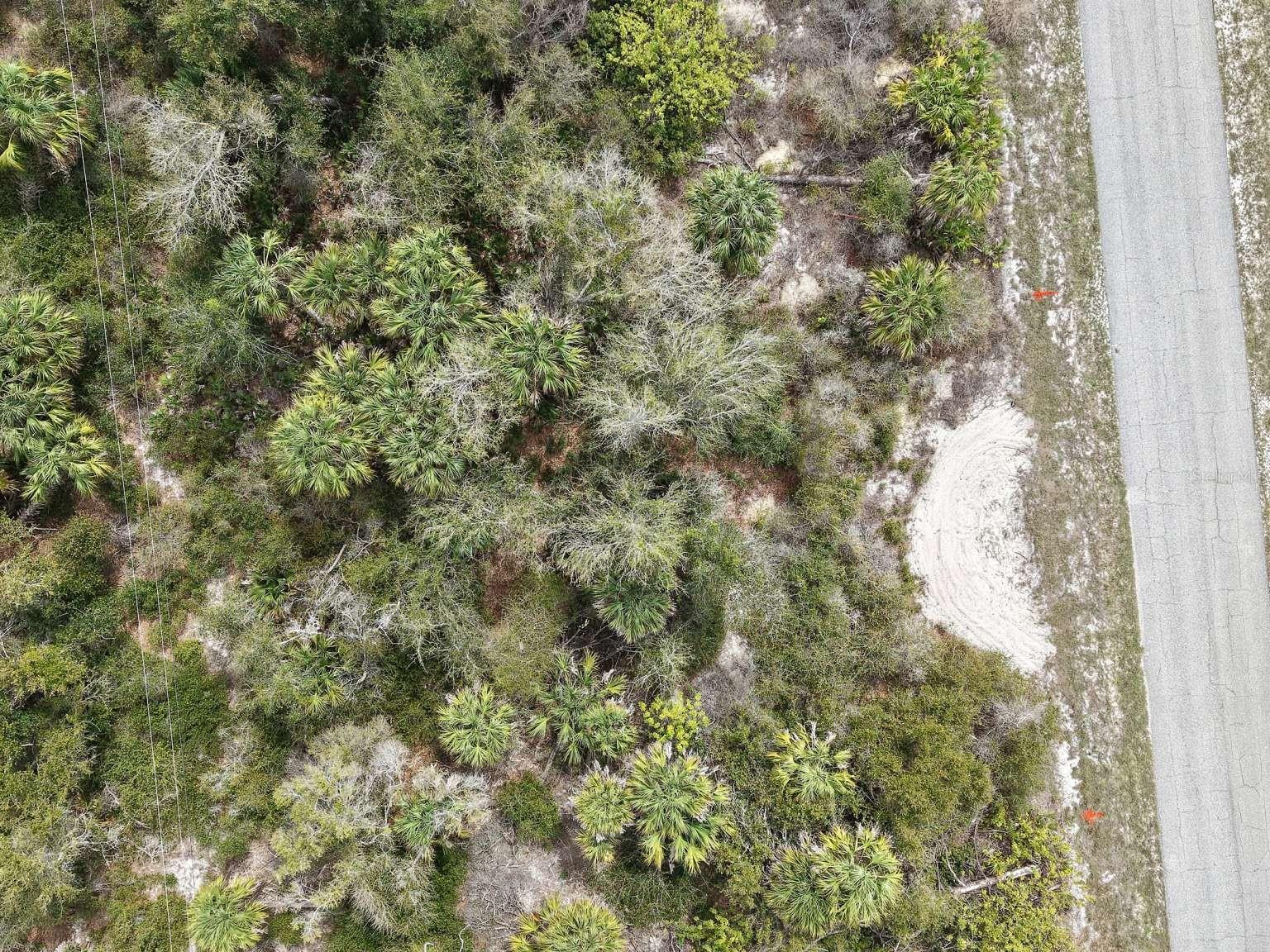 Overhead view of the lot vegetation.