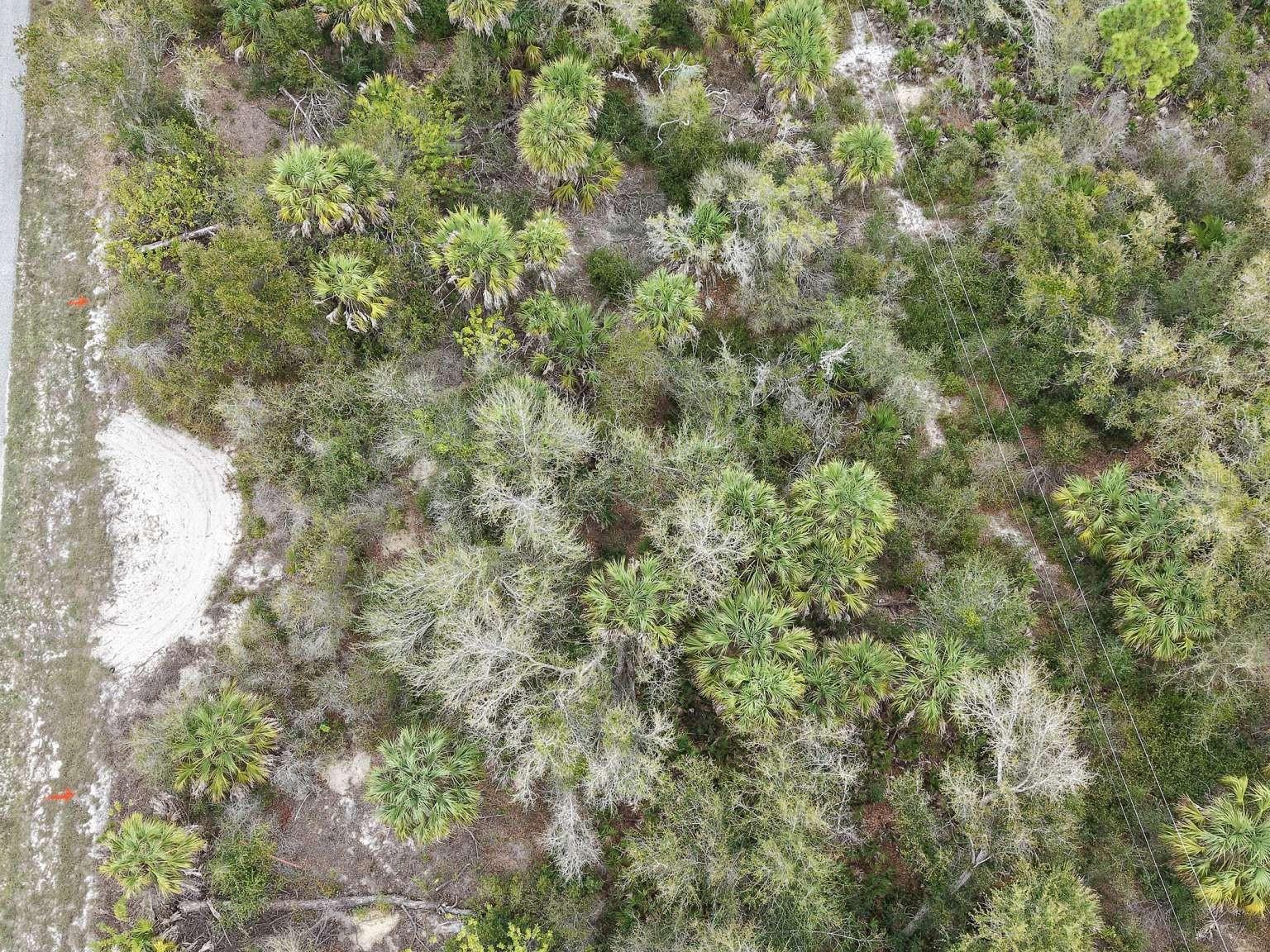 Overhead view of the lot vegetation.