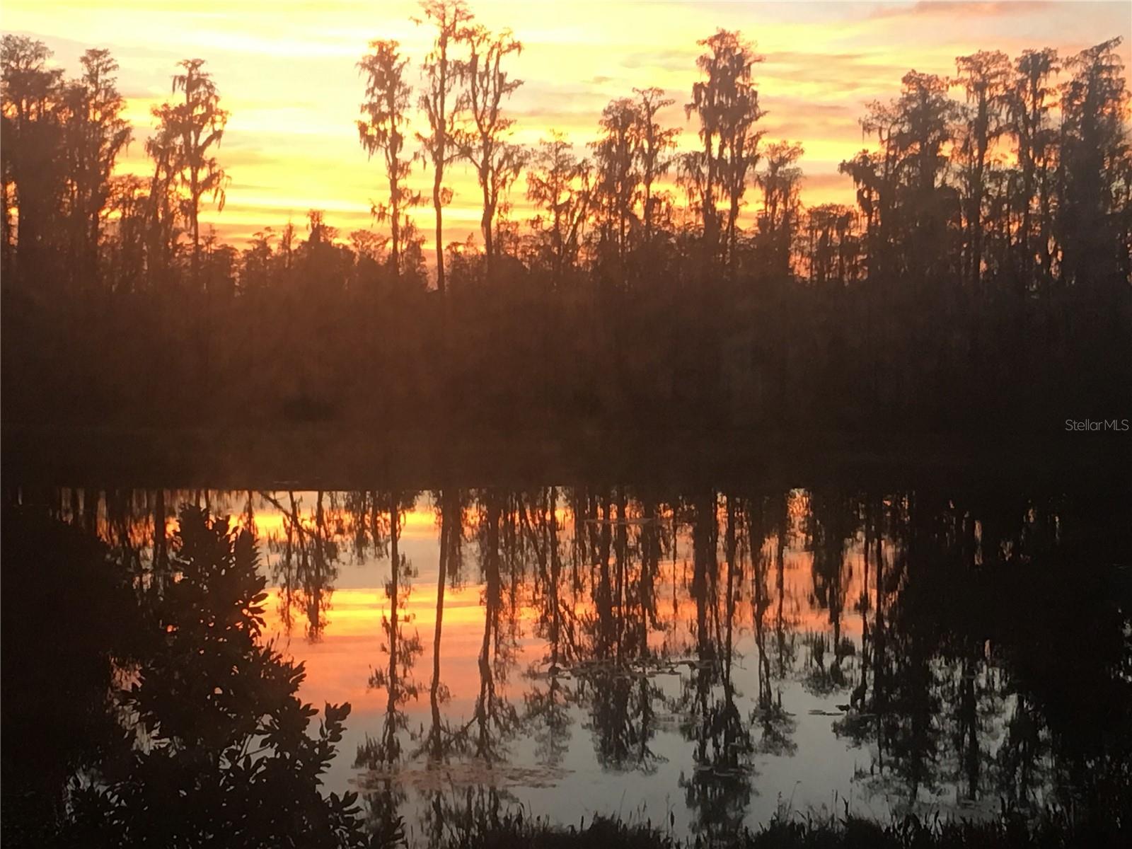 19472 LONG LAKE RANCH BOULEVARD, Lutz, FL 33558