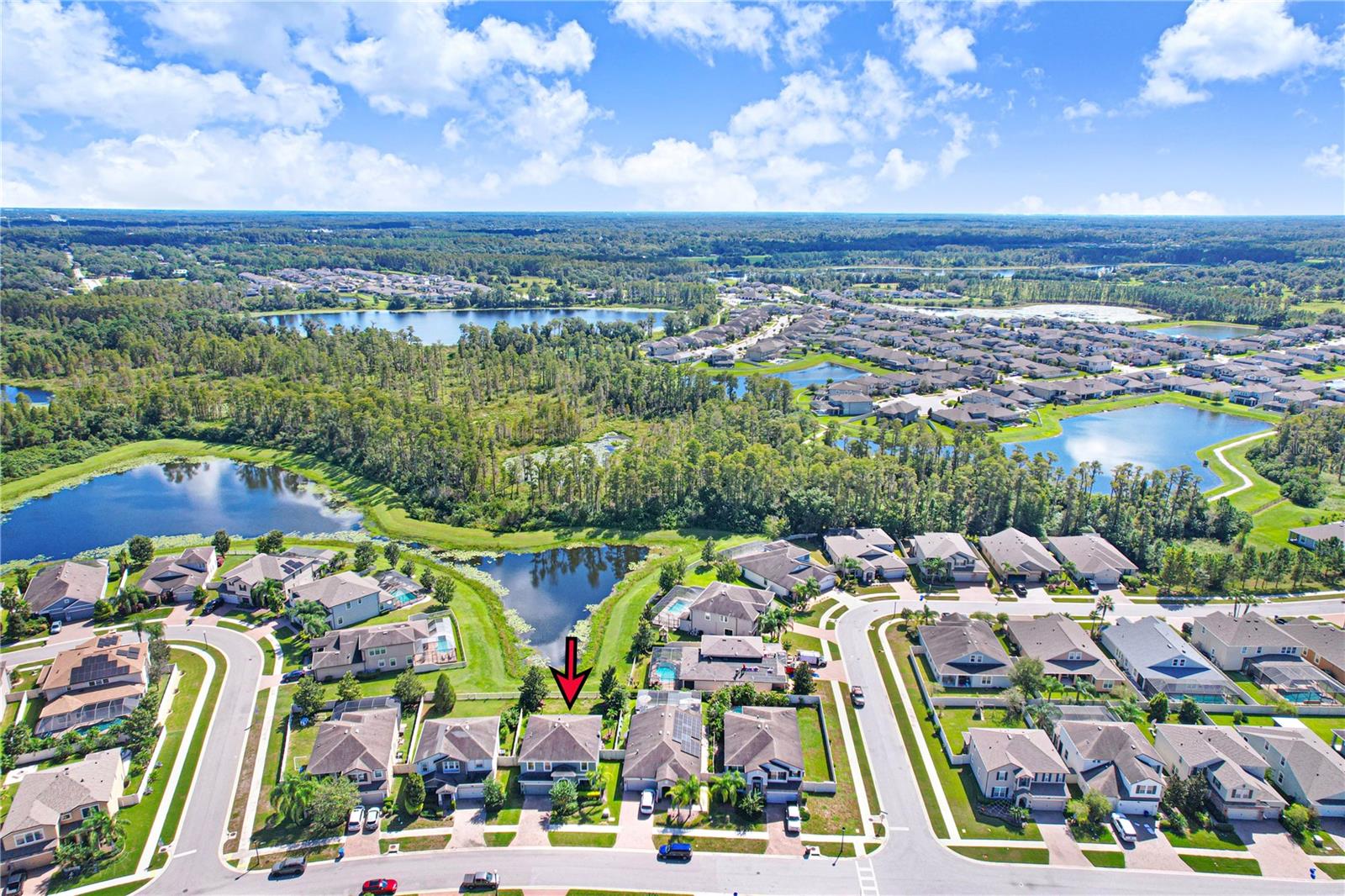 19472 LONG LAKE RANCH BOULEVARD, Lutz, FL 33558