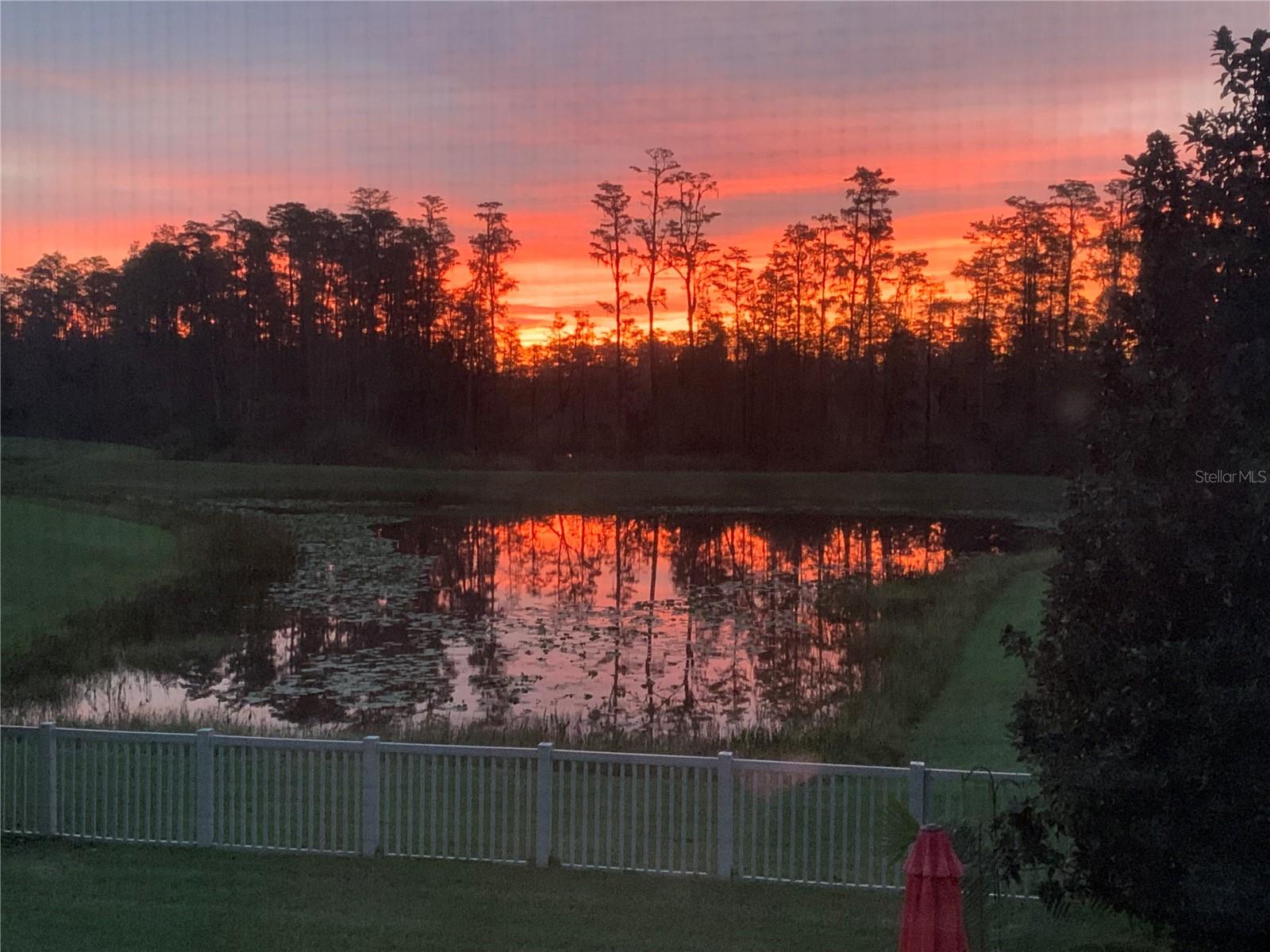 19472 LONG LAKE RANCH BOULEVARD, Lutz, FL 33558