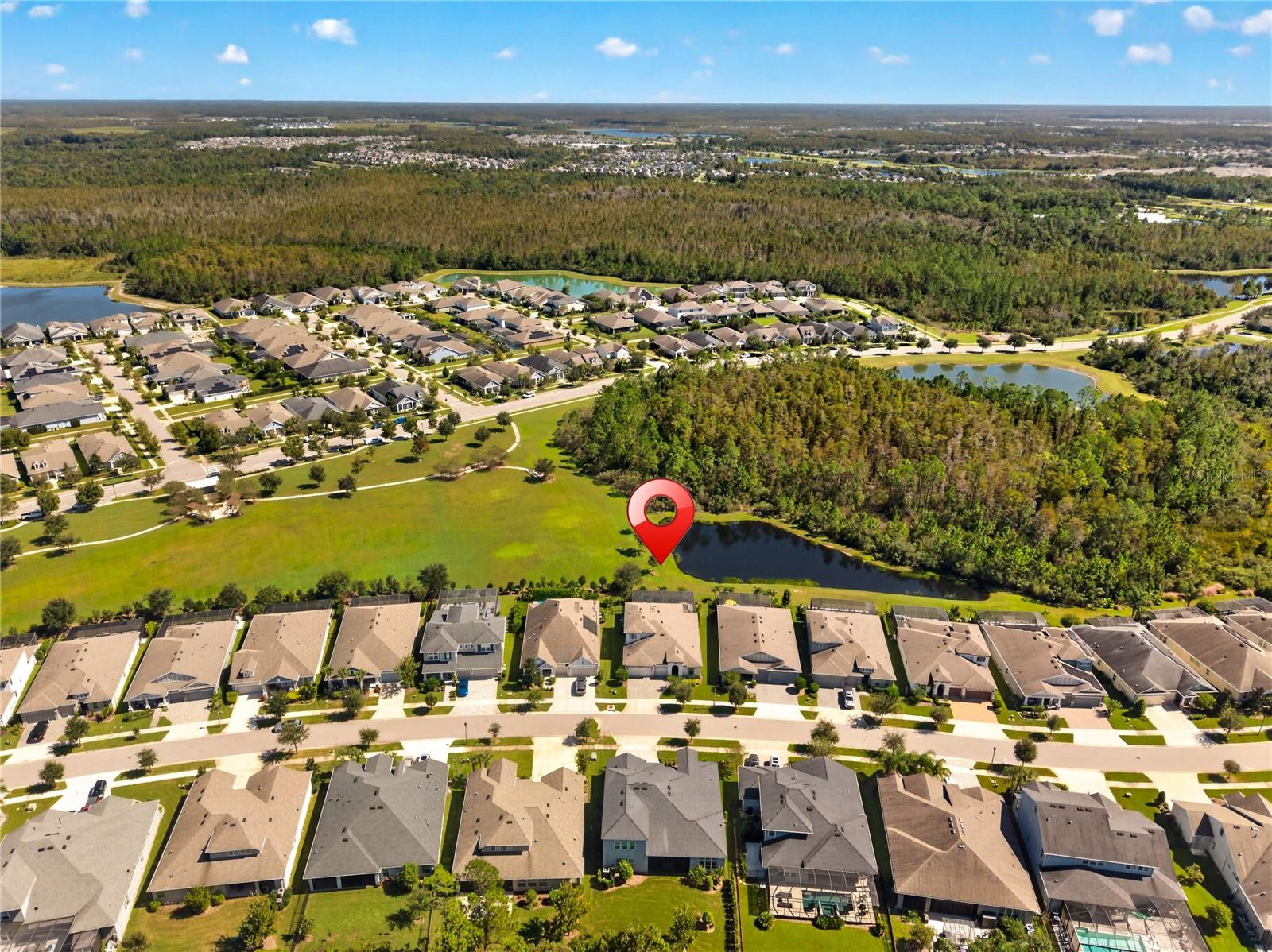 4264 EPIC COVE, Land O Lakes, FL 34638