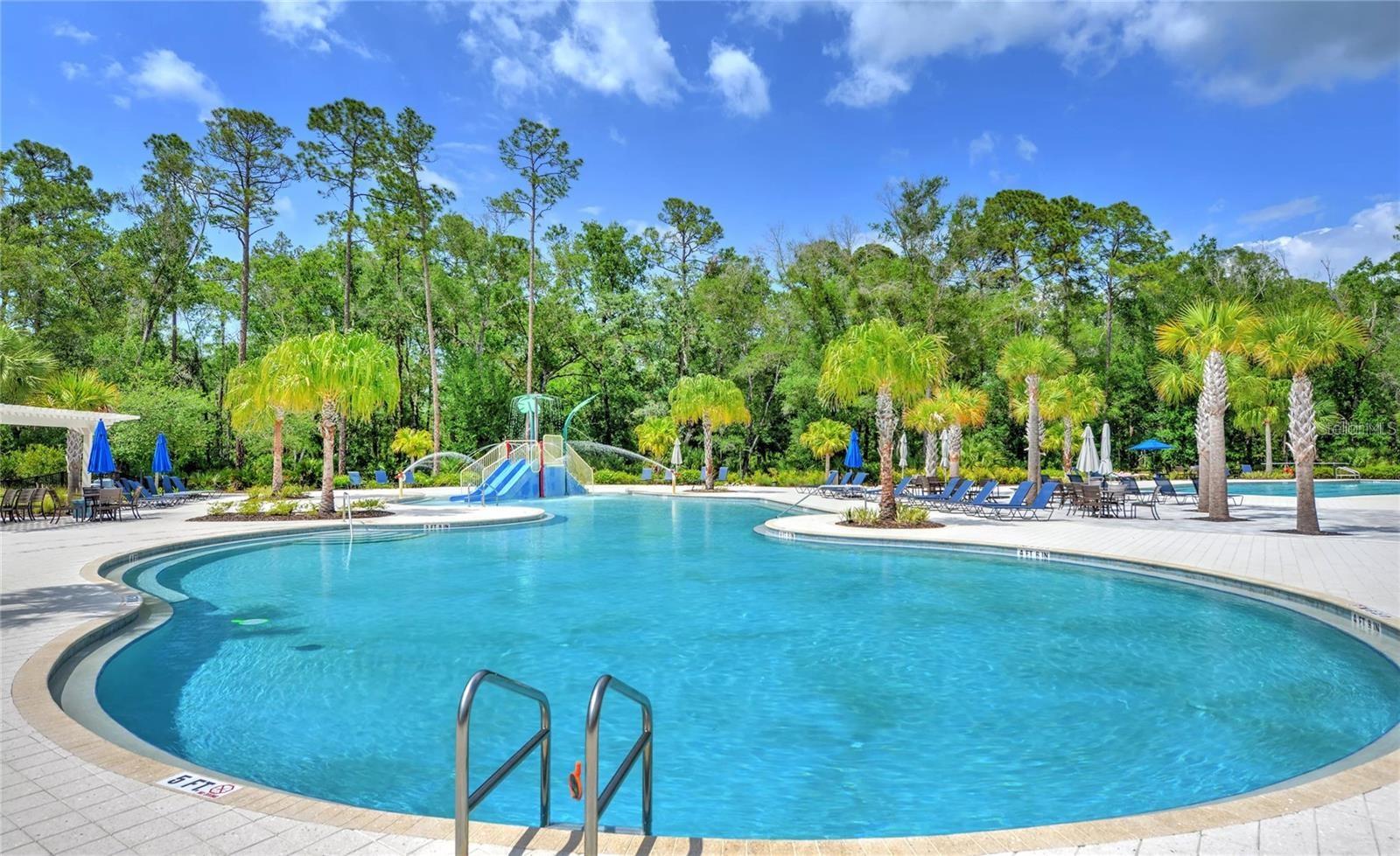 4264 EPIC COVE, Land O Lakes, FL 34638