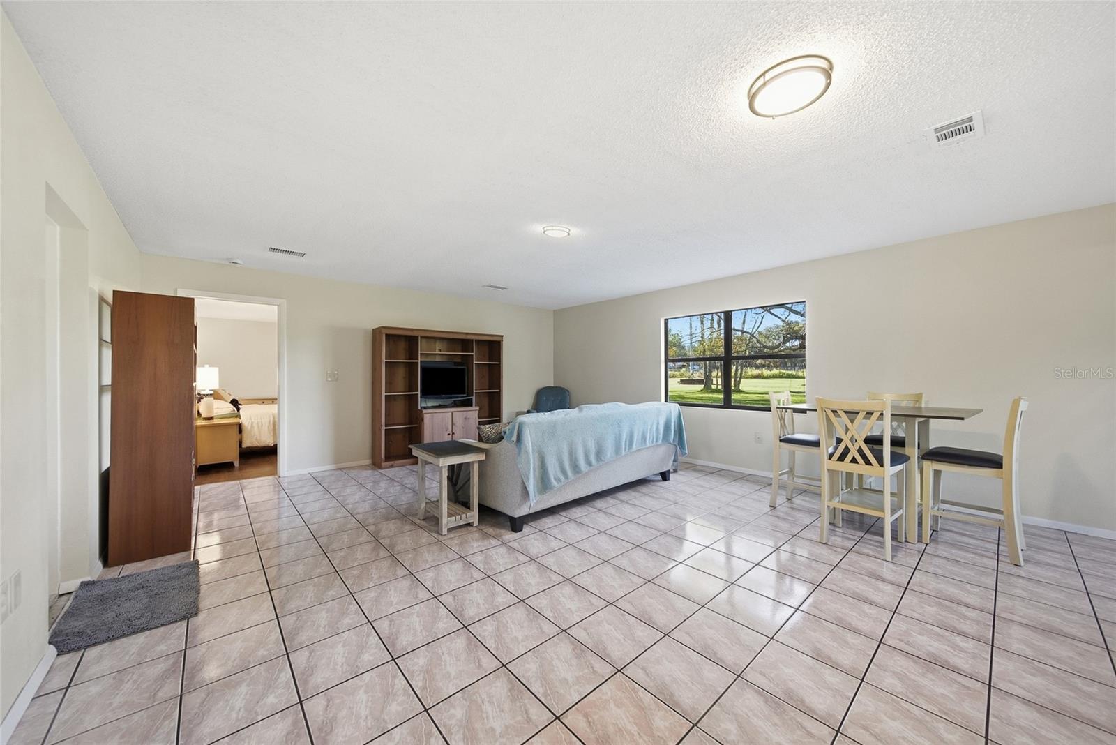 In Law Suite Living room