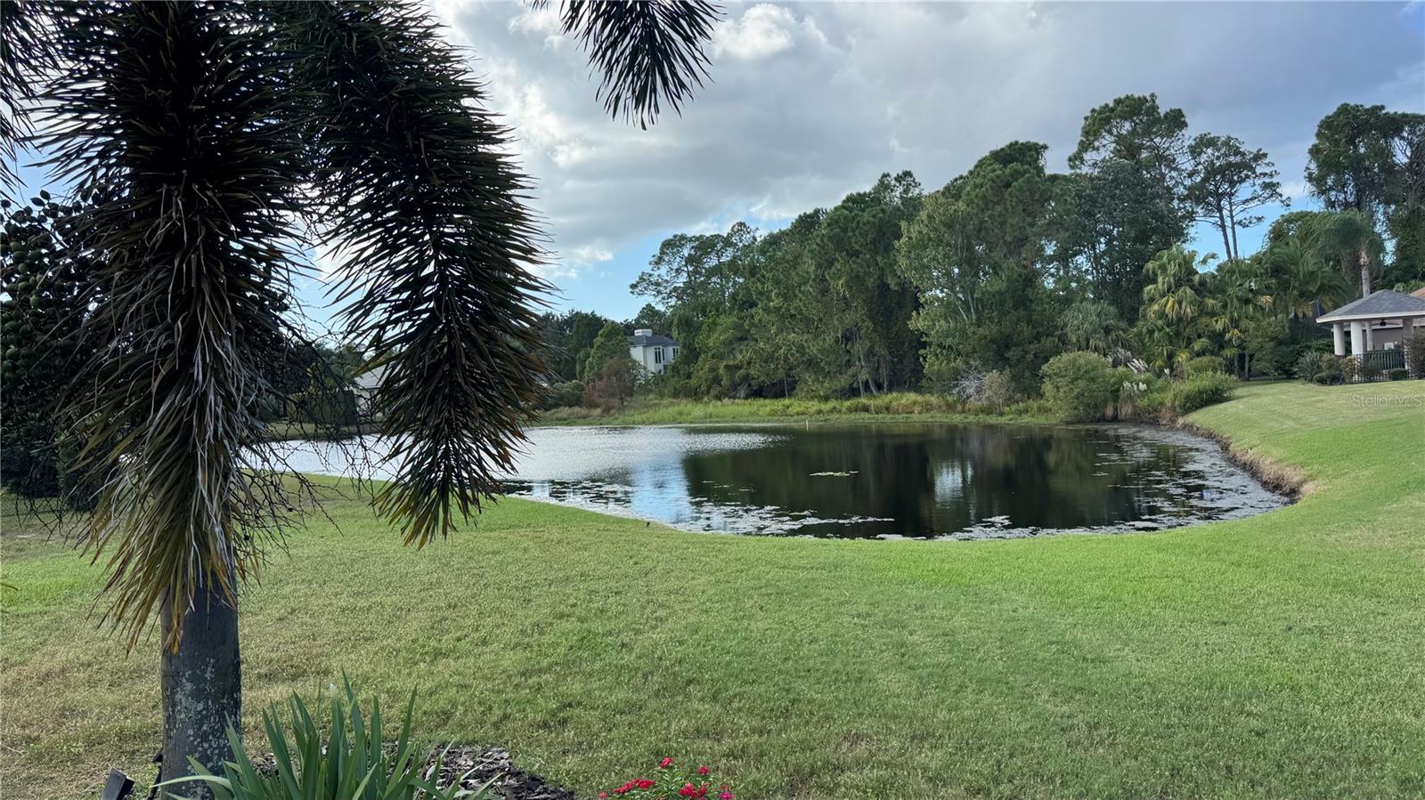 3730 JACMEL WAY, Palm Harbor, FL 34685