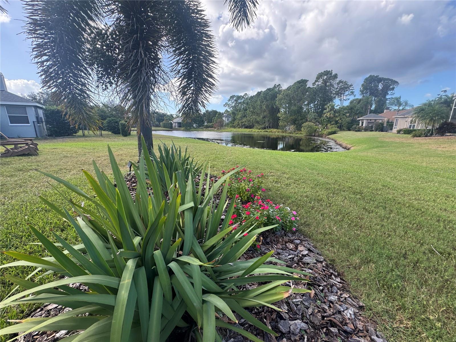 3730 JACMEL WAY, Palm Harbor, FL 34685