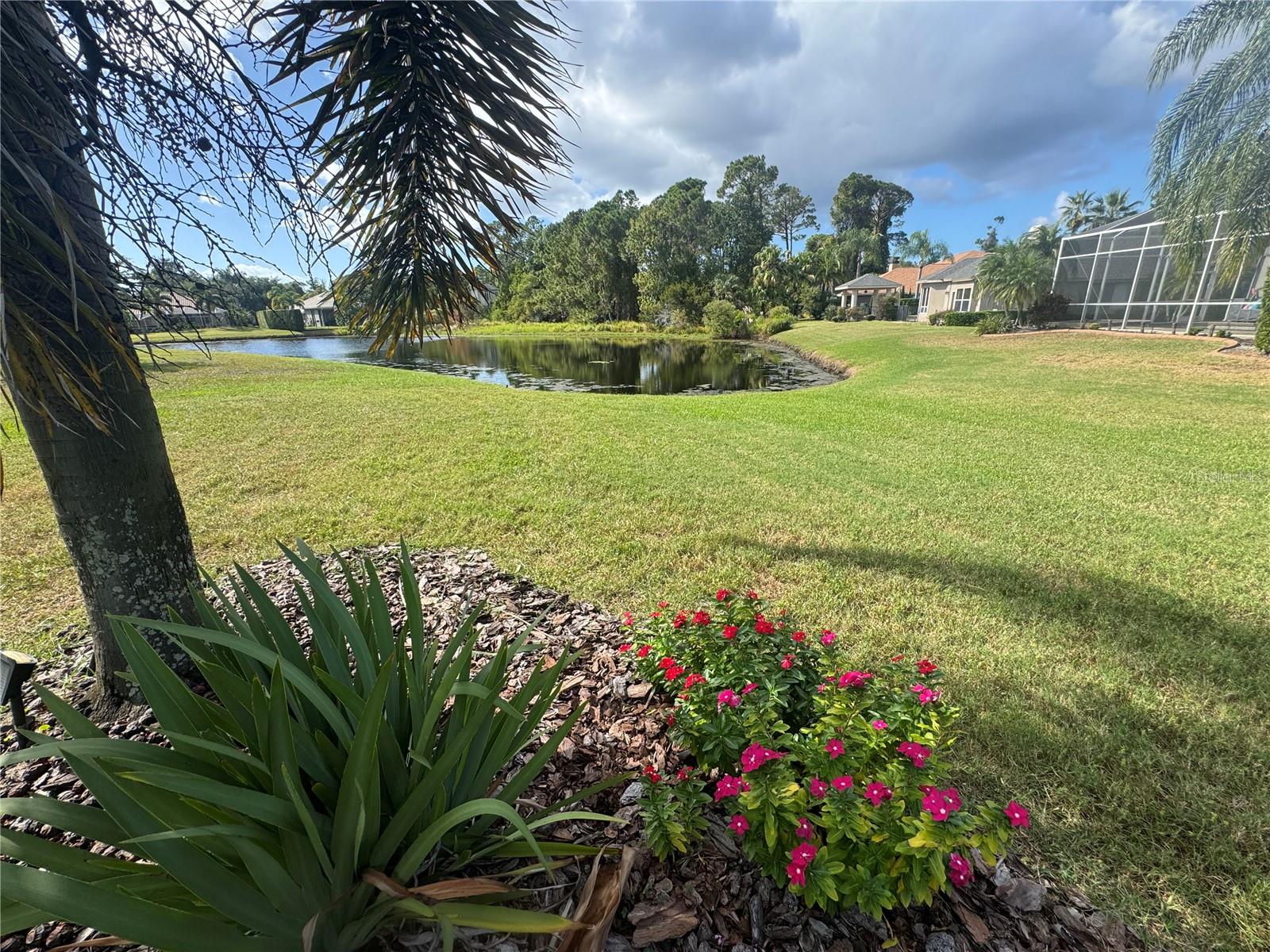 3730 JACMEL WAY, Palm Harbor, FL 34685