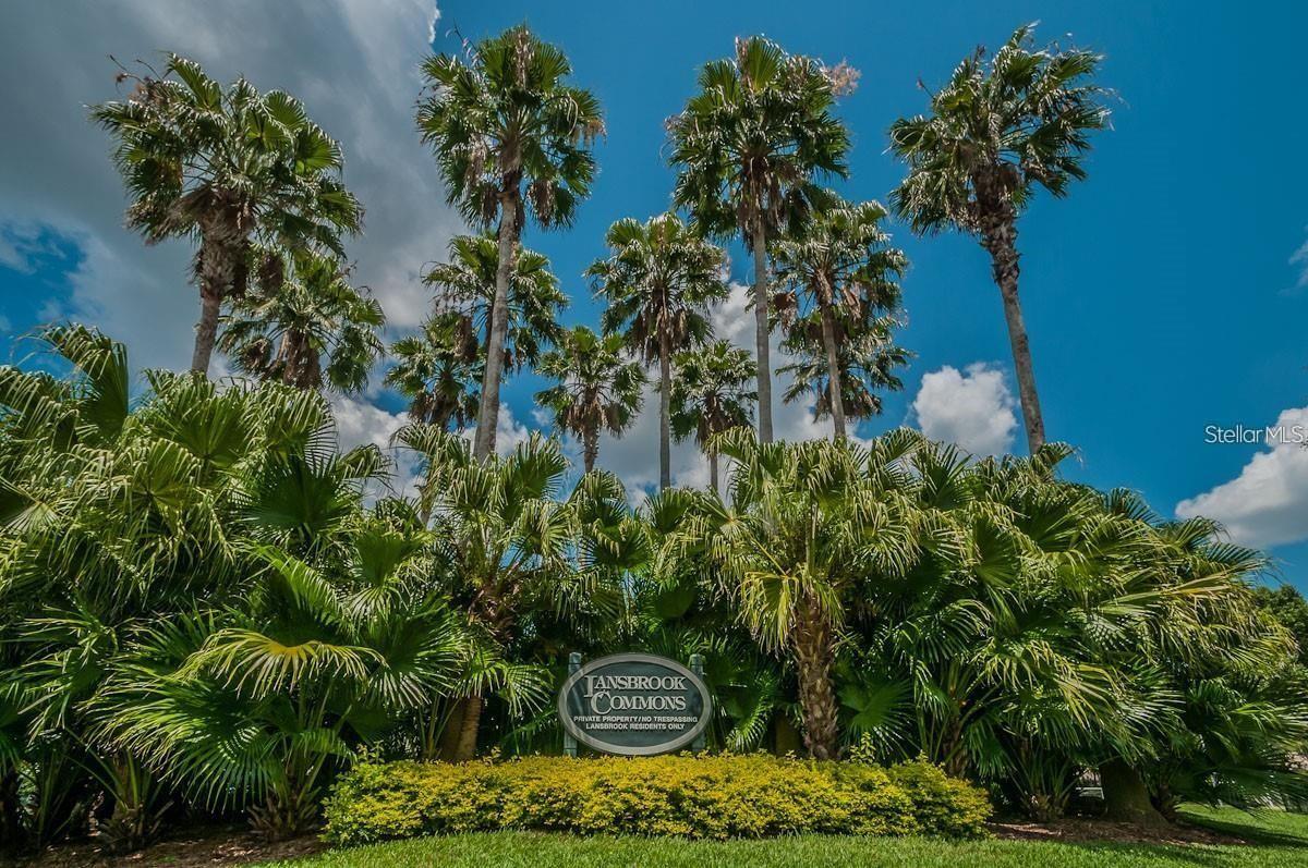 3730 JACMEL WAY, Palm Harbor, FL 34685