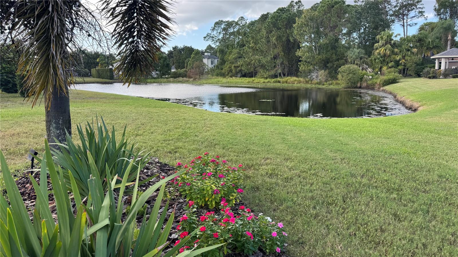 3730 JACMEL WAY, Palm Harbor, FL 34685