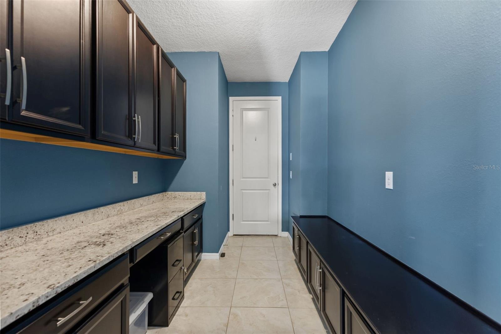 18922 ROSEATE DRIVE, Lutz, FL 33558