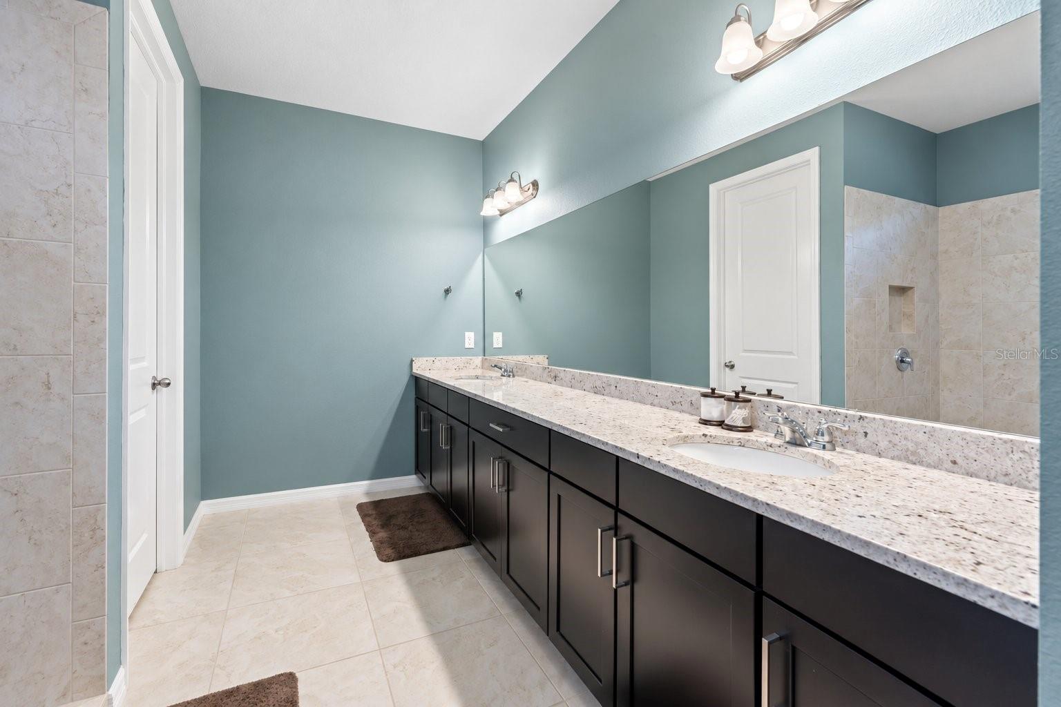 18922 ROSEATE DRIVE, Lutz, FL 33558