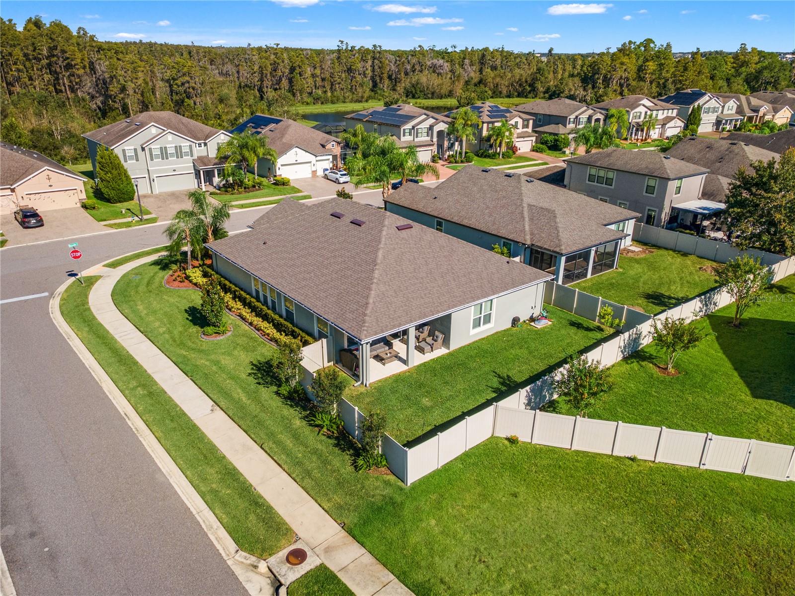 18922 ROSEATE DRIVE, Lutz, FL 33558