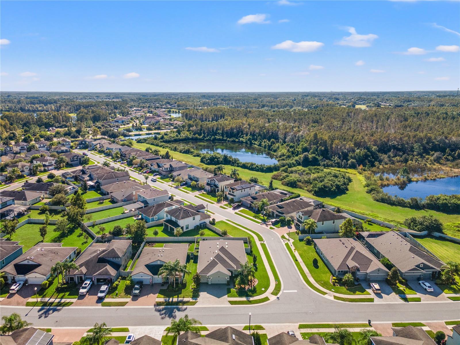 18922 ROSEATE DRIVE, Lutz, FL 33558