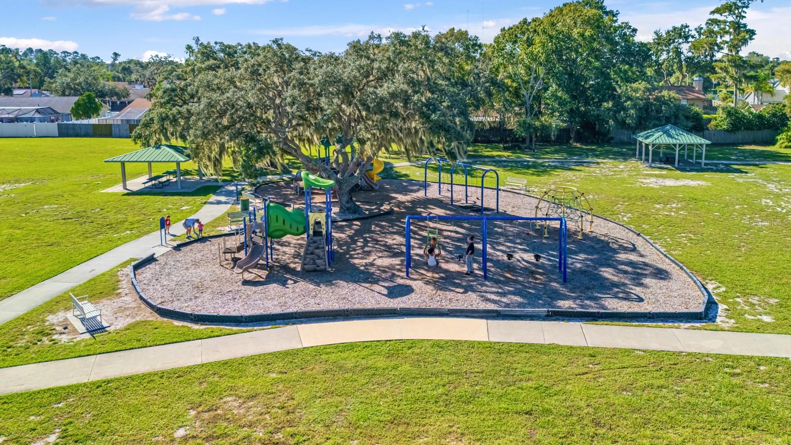 4626 PRESTON WOODS DRIVE, Valrico, FL 33596
