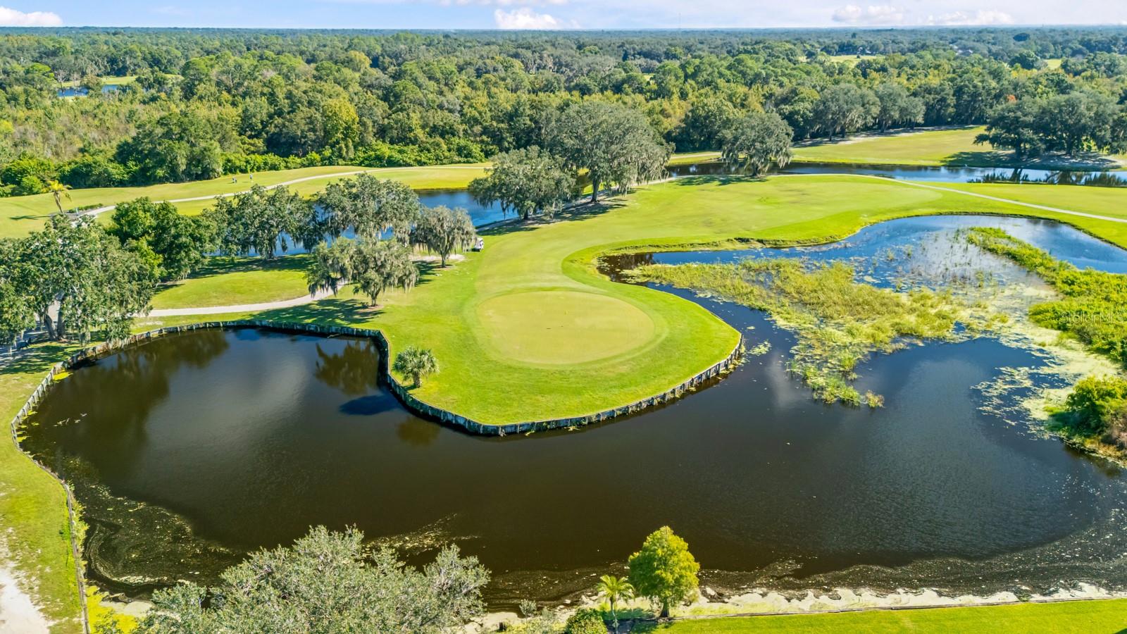 4626 PRESTON WOODS DRIVE, Valrico, FL 33596