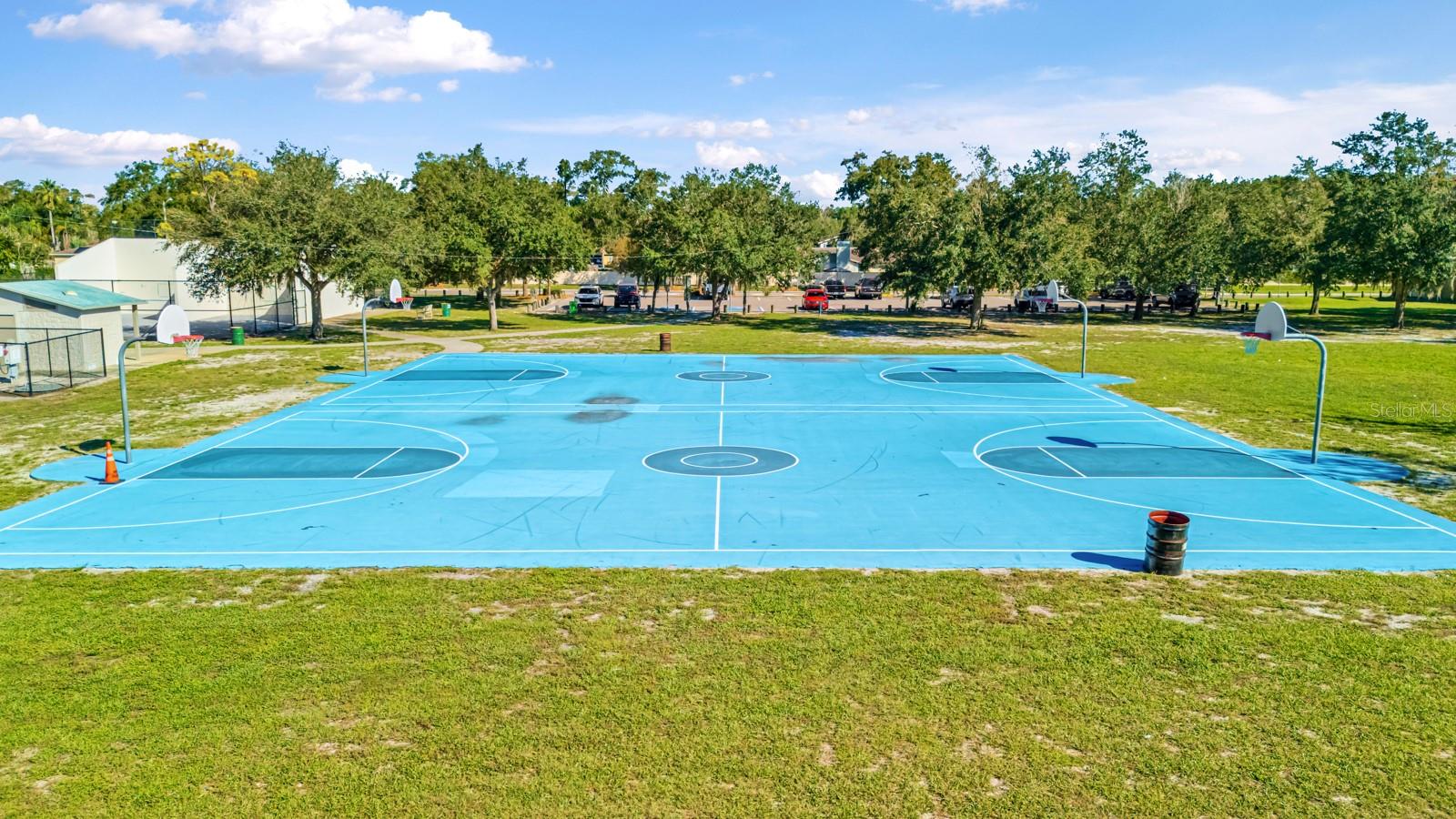 4626 PRESTON WOODS DRIVE, Valrico, FL 33596