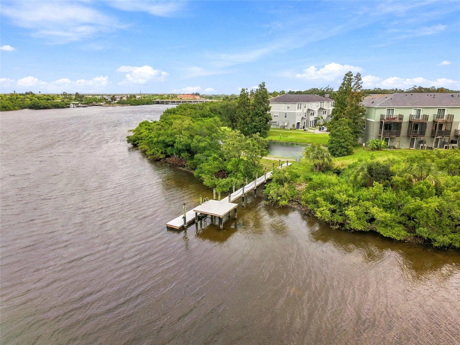 4520 TUSCAN LOON DRIVE, Tampa, FL 33619