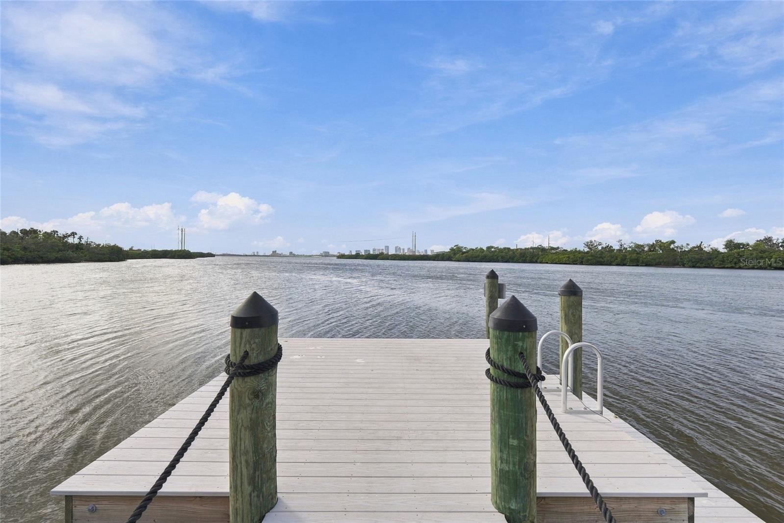 4520 TUSCAN LOON DRIVE, Tampa, FL 33619