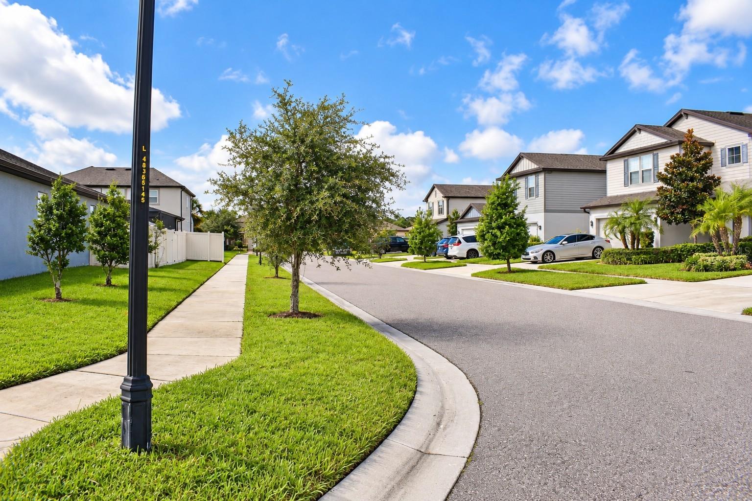Neighborhood Streetscape