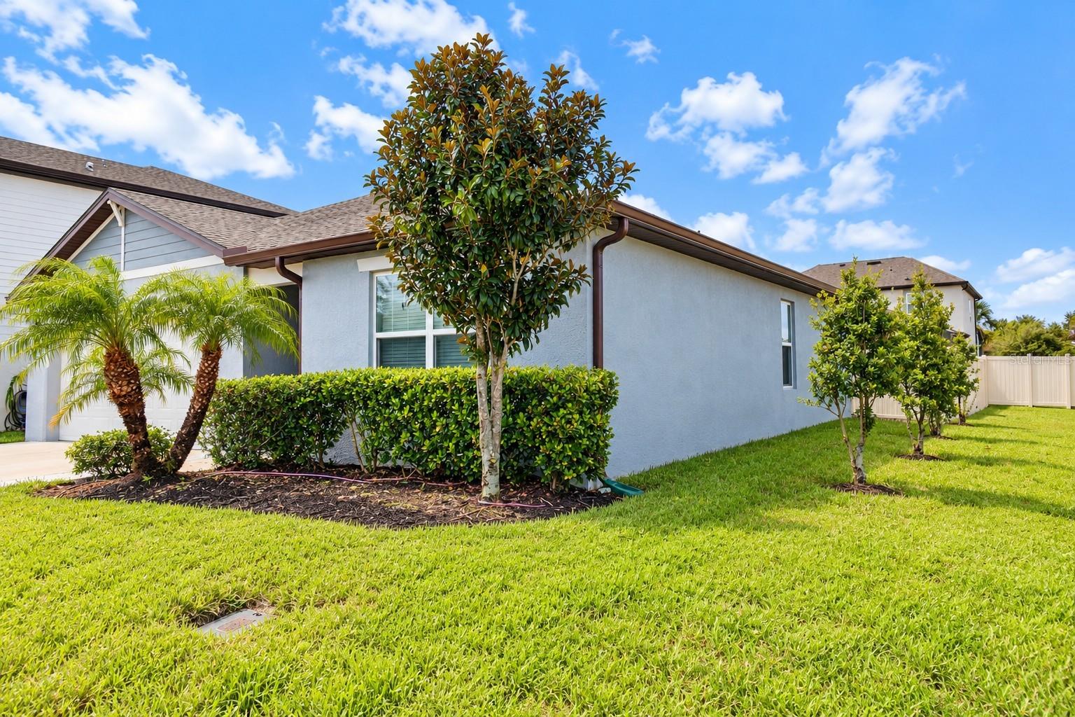 Exterior Side Yard and Landscaping