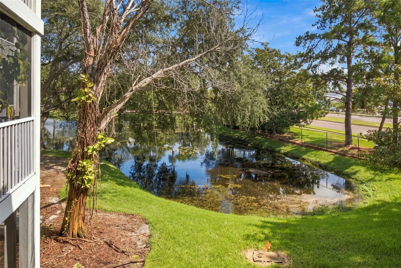 10020 STRAFFORD OAK COURT, #914, Tampa, FL 33624