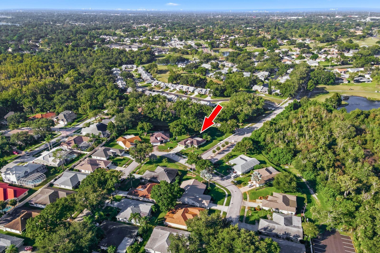 3812 TARPON POINTE CIRCLE, Palm Harbor, FL 34684