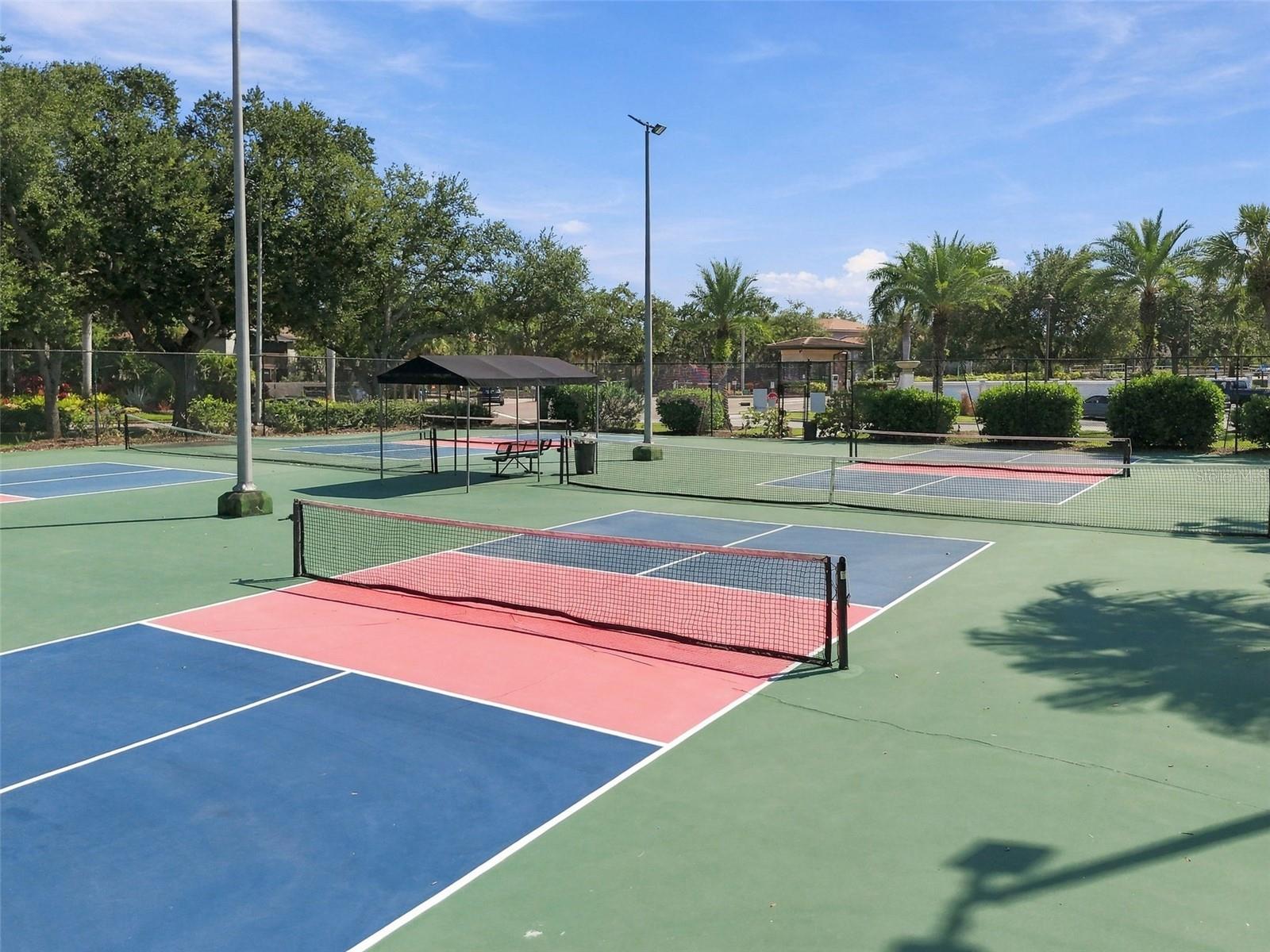 Pickleball courts