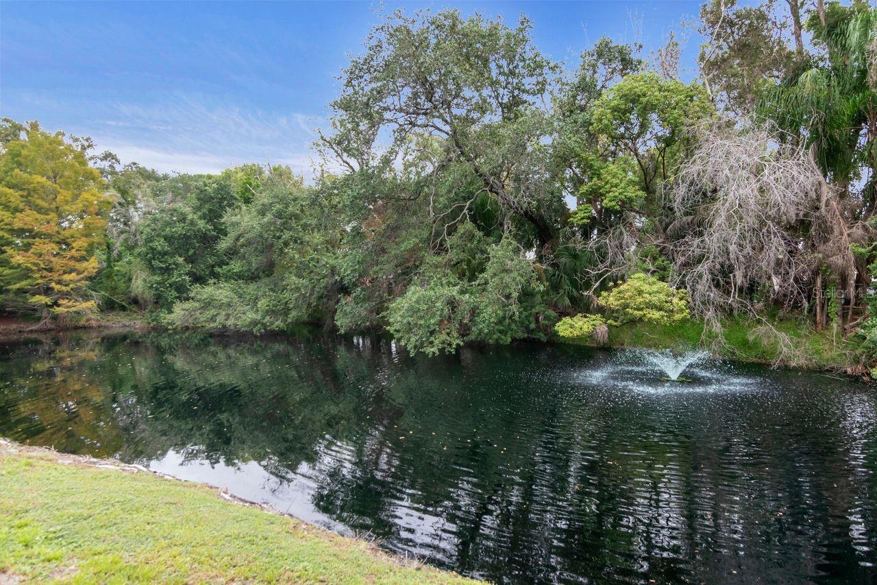pond on parcel 2