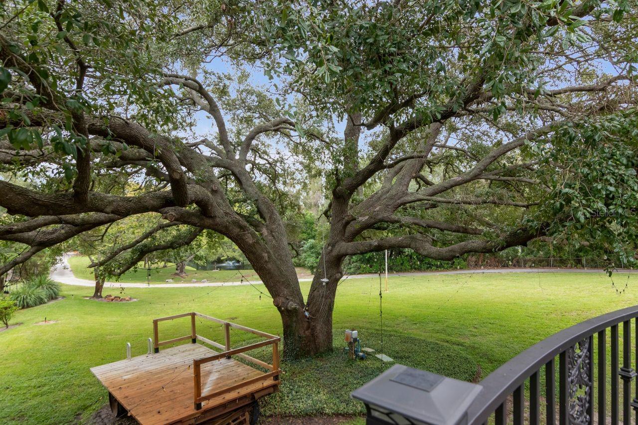 201 OLD OAK LANE, Palm Harbor, FL 34683